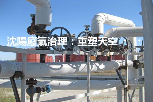 沈陽廢氣治理：重塑天空，還我清新！